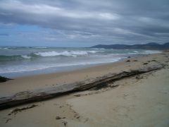 Tasmania - east coast beach