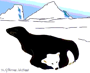 Bear and Seal Optical Illusion