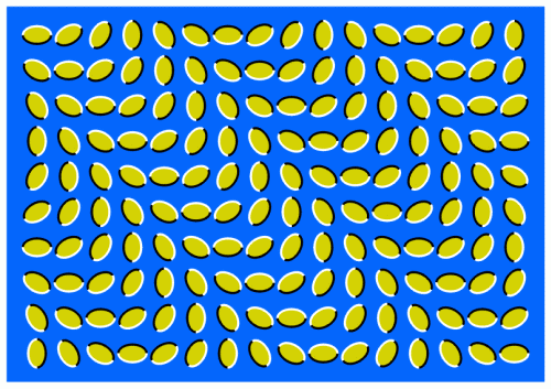 optical illusions that appear to move