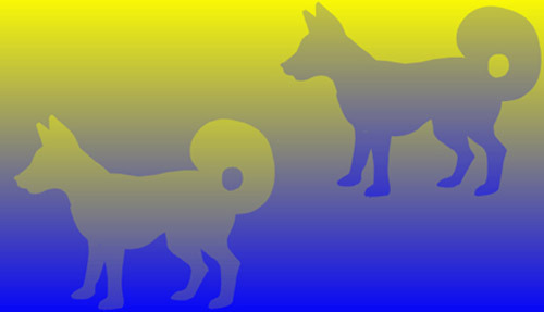 Color Dogs